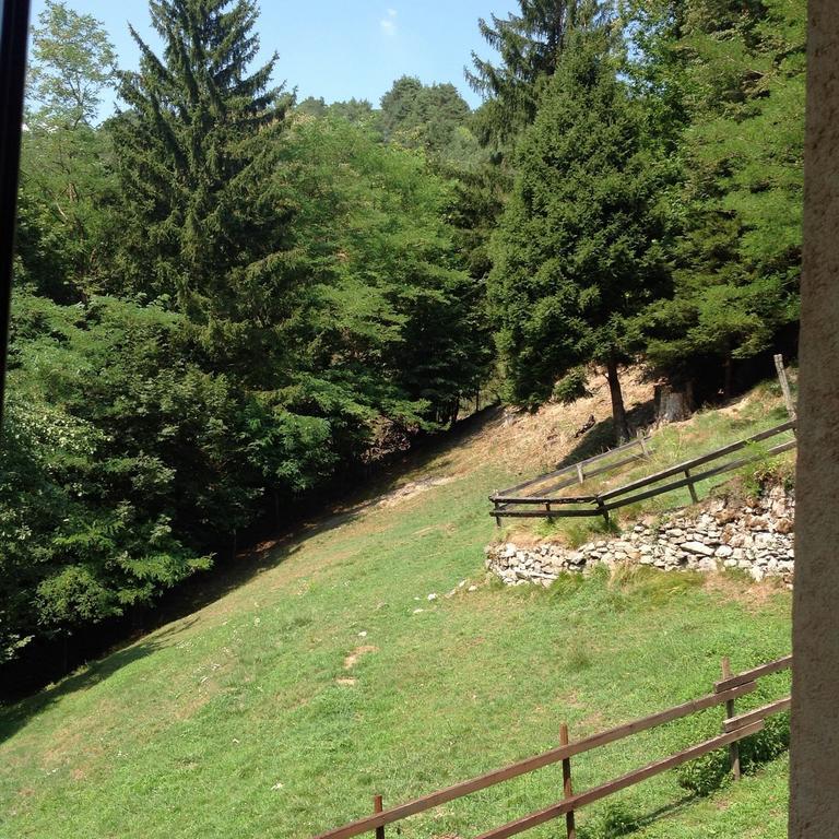 Agriturismo Barcola Grandola ed Uniti ห้อง รูปภาพ